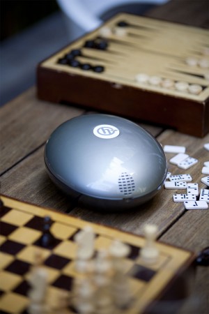 herbalizer-with-dominoes-featured-image-300x450