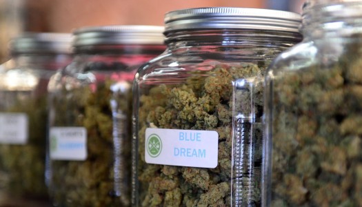 Legislation Ends Federal Ban on Medical Marijuana