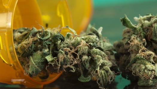 Pennsylvania Passes Medical Marijuana Bill