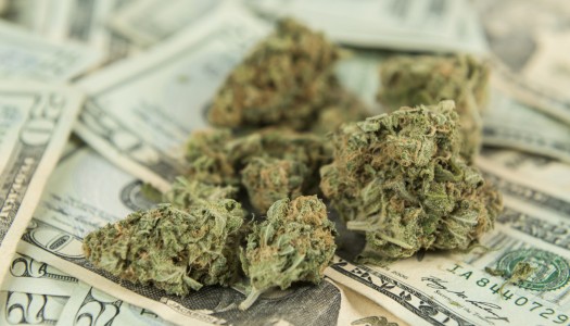 February is Record Month for Colorado Dispensaries